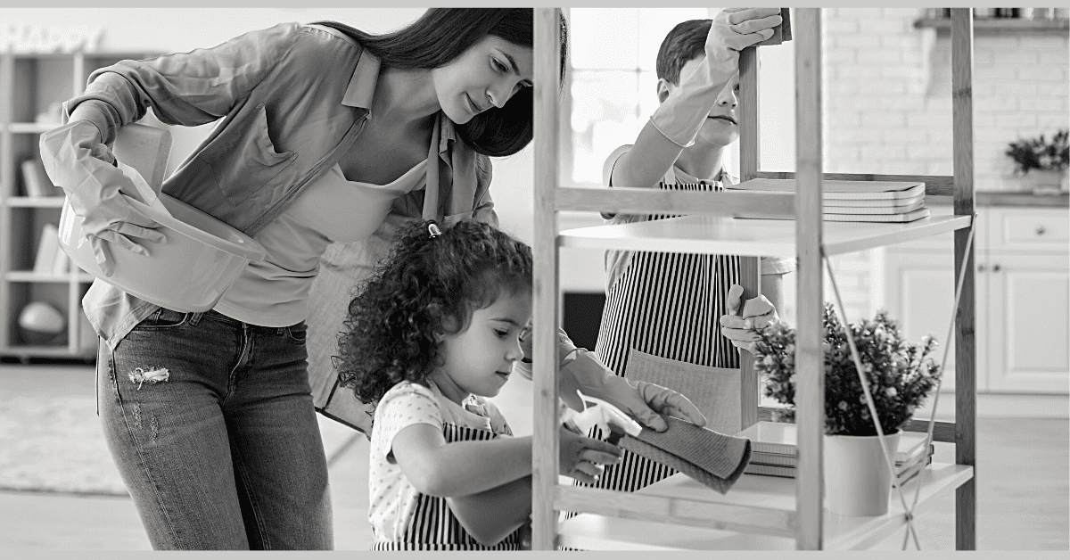cleaning and household tips categor