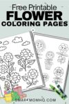 flower coloring pages pinterest image