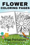 flower coloring pages pinterest image